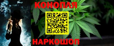 шишки Апшеронск